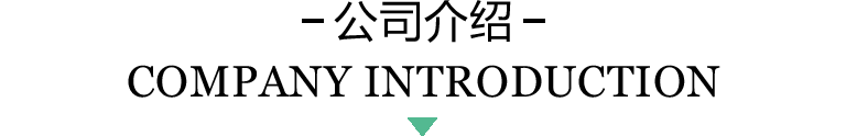 公司介绍